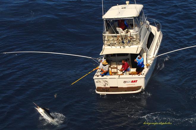 Mooloolaba Billfish Bash from a chopper  © Kenyon Sports